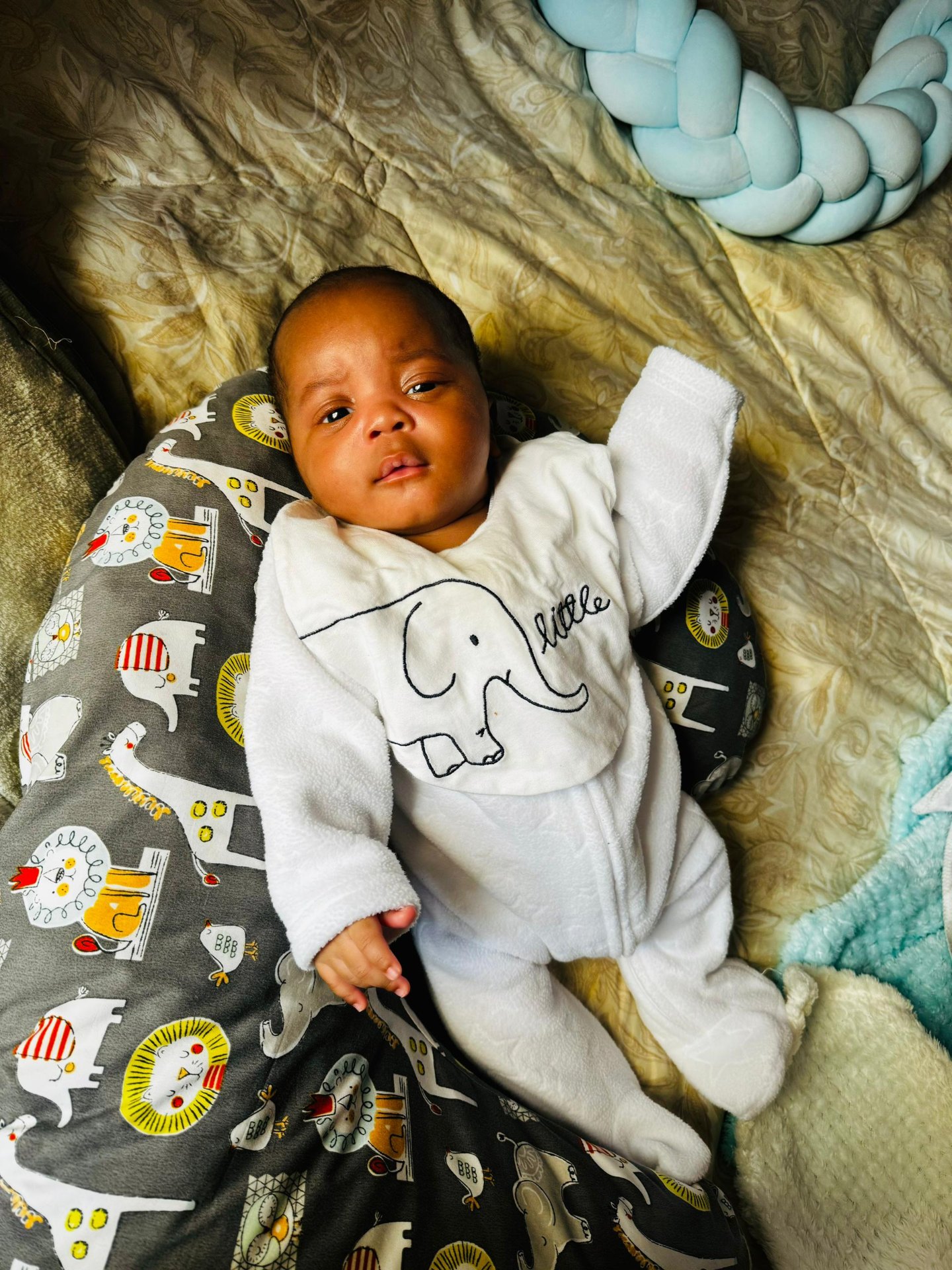 Charming IVF baby in elephant onesie born at Sali Women's Hospital (privacy protected)