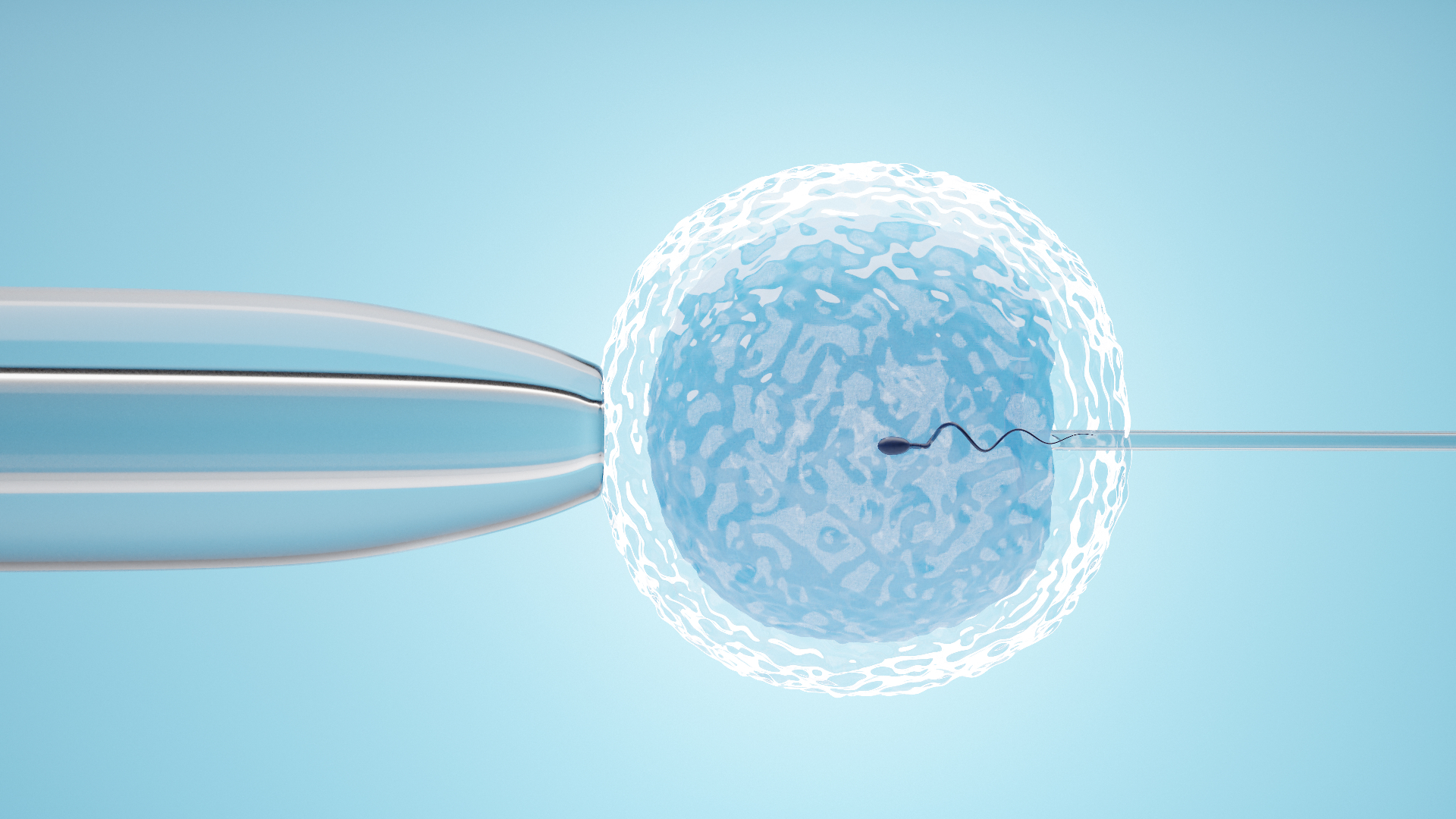 IVF Treatment